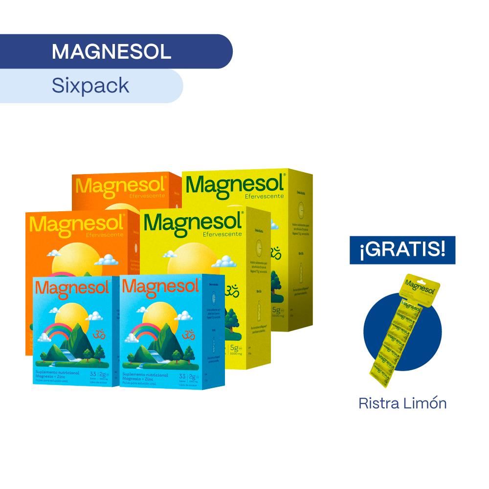 PACK 06 MAGNESOL SURTIDO x 33 sobres